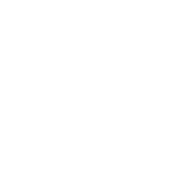 SG Dynamo Dresden